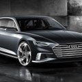 „Audi“ parodys ateities universalą