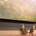 Kanzas Sičio zoologijos sodo pingvinai muziejuje grožėjosi Monet darbais