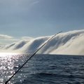 Žvejai Mičigano ežere tapo unikalaus gamtos reiškinio liudininkais