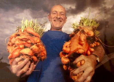 Joe Athertono auginamos morkos rekordininkės/ carrotmuseum.co.uk nuotr.