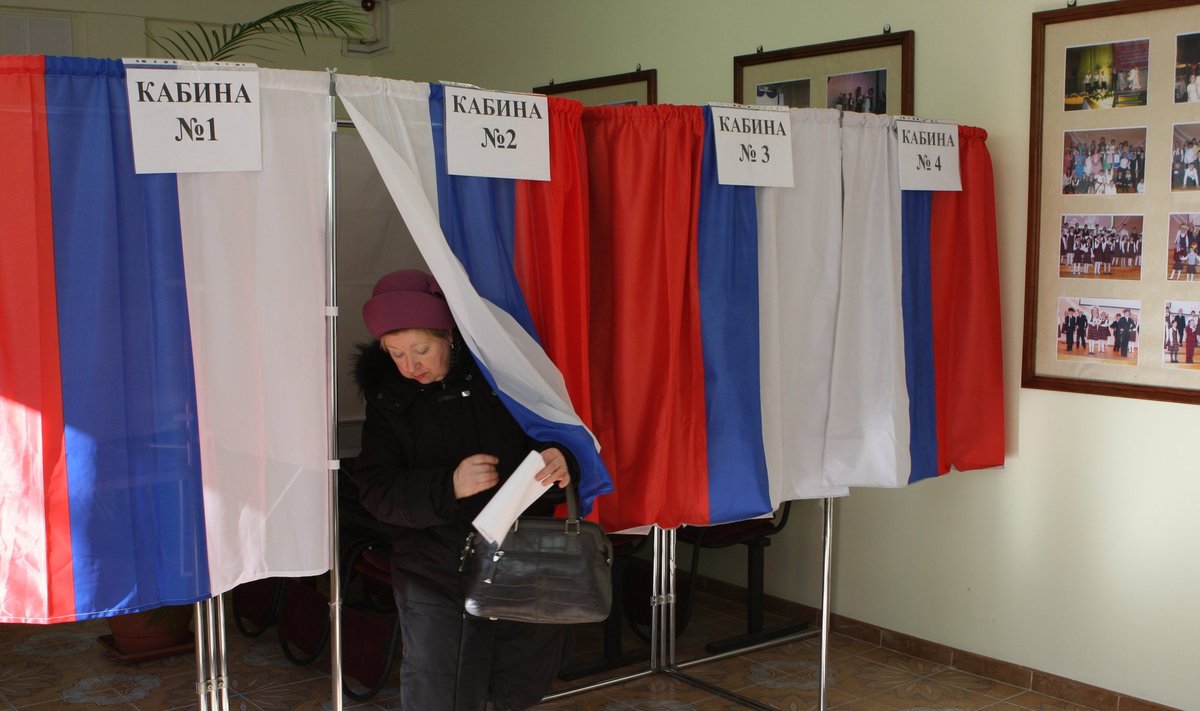 Калининград, голосование на участке