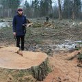 В Литве вырубили лес, в котором зимовал охраняемый вид жука