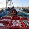 Galas verslinei žvejybai? Nauji ribojimai Kuršių mariose sulaukė žvejų pasipiktinimo
