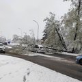 Ugniagesiai vos spėja šalinti nuvirtusius medžius