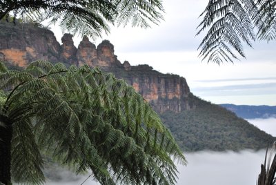 Mėlynieji kalnai, Australija
