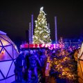 Kaune įžiebta pagrindinė miesto Kalėdų eglė: žaliaskarė spinduliuoja jaukumu