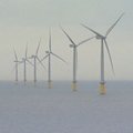 Didžiojoje Britanijoje atidarytas didžiausias jūros vėjo jėgainių parkas