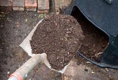 Specialistai pataria nukritusius lapus ne deginti, bet kompostuoti