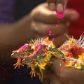 Indijoje – šimtai iškilmingų varlių vestuvių