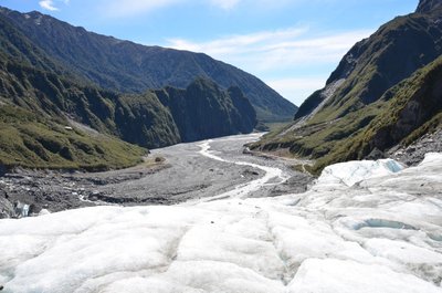 Fokso ledynas, Naujoji Zelandija