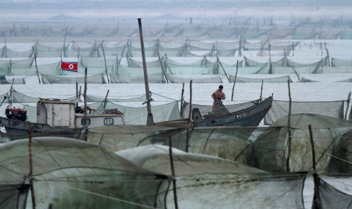 Šiaurės Korėjos žvejų laivai