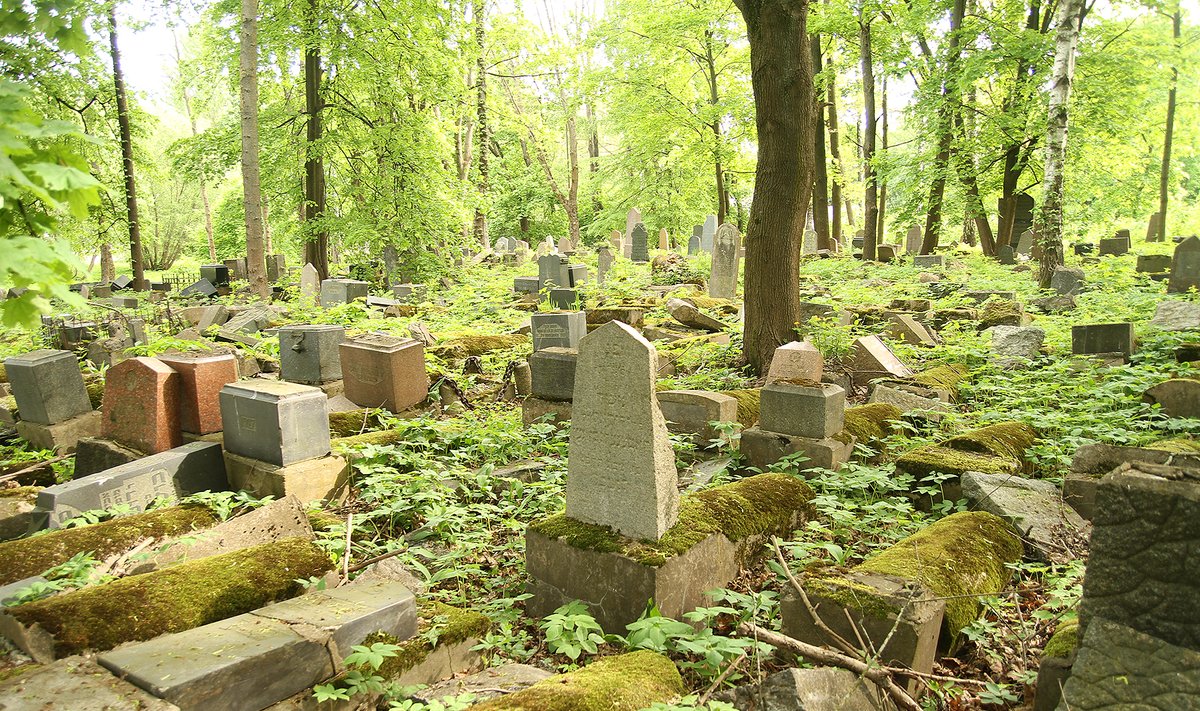 Old Jewish cemetery in Kaunas