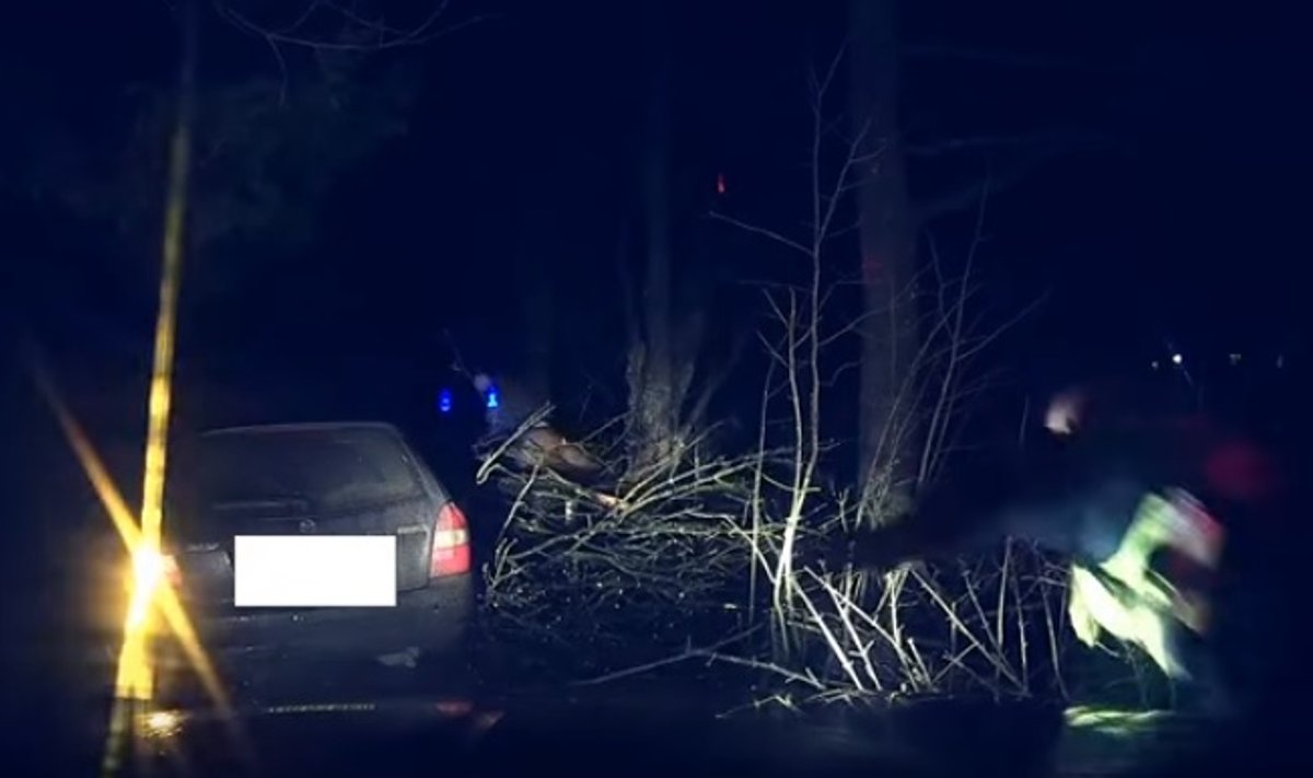 Policininkai pasidalijo filmuotais įspūdingų gaudynių vaizdai: bėglys po šūvio rėžėsi į medį