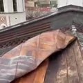 Stiprus vėjas nuplėšė dalį Vilniaus Katedros stogo