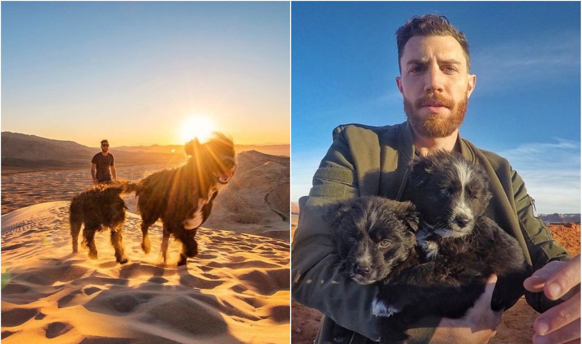 Vyras išgelbėjo dykumoje paliktus šuniukus