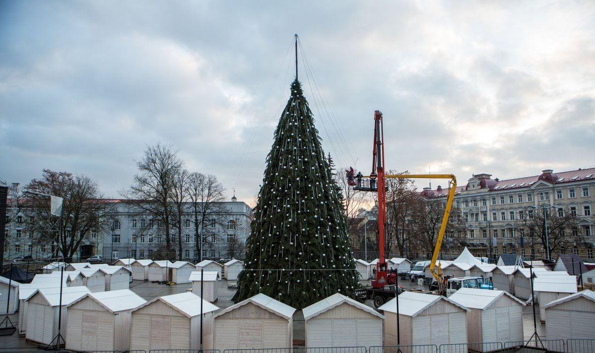Kalėdinė eglė Vilniuje