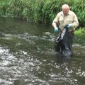 Minijos upėje krito keli šimtai žuvų: aplinkosaugininkai pradėjo tyrimą