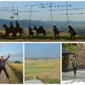 Šv. Jokūbo kelias: 800 km pėsčiomis Ispanijos keliais ir pakelėmis