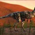 Šiaurės vakarinėje Brazilijos dalyje atrasta nauja dinozaurų rūšis
