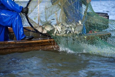 Žvejai verslininkai tikisi, kad verslinę žvejybą draudžiantis įsakymas bus atšauktas