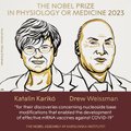 Нобелевскую премию по медицине и физиологии получили ученые, создавшие новый тип вакцин. Теперь ими прививают от Covid-19