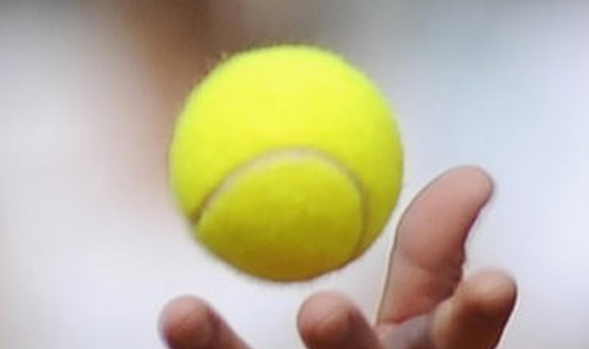 Tenisas, teniso kamuoliukas