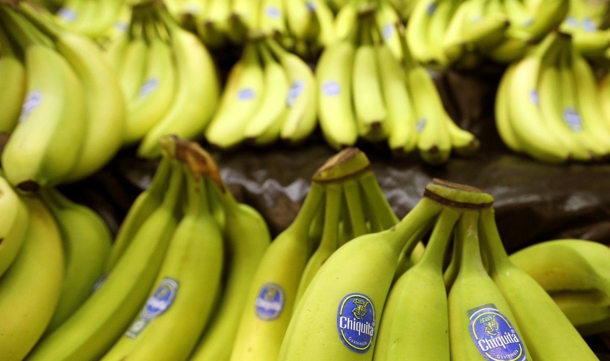 Chiquita bendrovės bananai