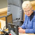 Дегутене в Финляндии поднимет вопрос АЭС в Беларуси и Калининграде