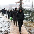 Сотни мигрантов все еще находятся в Беларуси у границы с Польшей