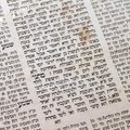 New Torah scroll to be written at Vilnius' Choral Synagogue