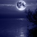 Pajūryje pastebėtas neįprastai didelis Mėnulis – tik optinė apgaulė