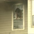 Nuo gaisro JAV daugiabutyje žmonės gelbėjosi šokdami pro langus