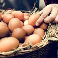 Lietuvos kiaušinių, pieno ir žuvies produktų gamintojai jau gali eksportuoti į Taivaną