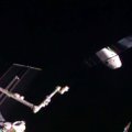 „SpaceX“ į kosminę stotį išsiuntė skruzdėlių, avokadų ir robotinę ranką