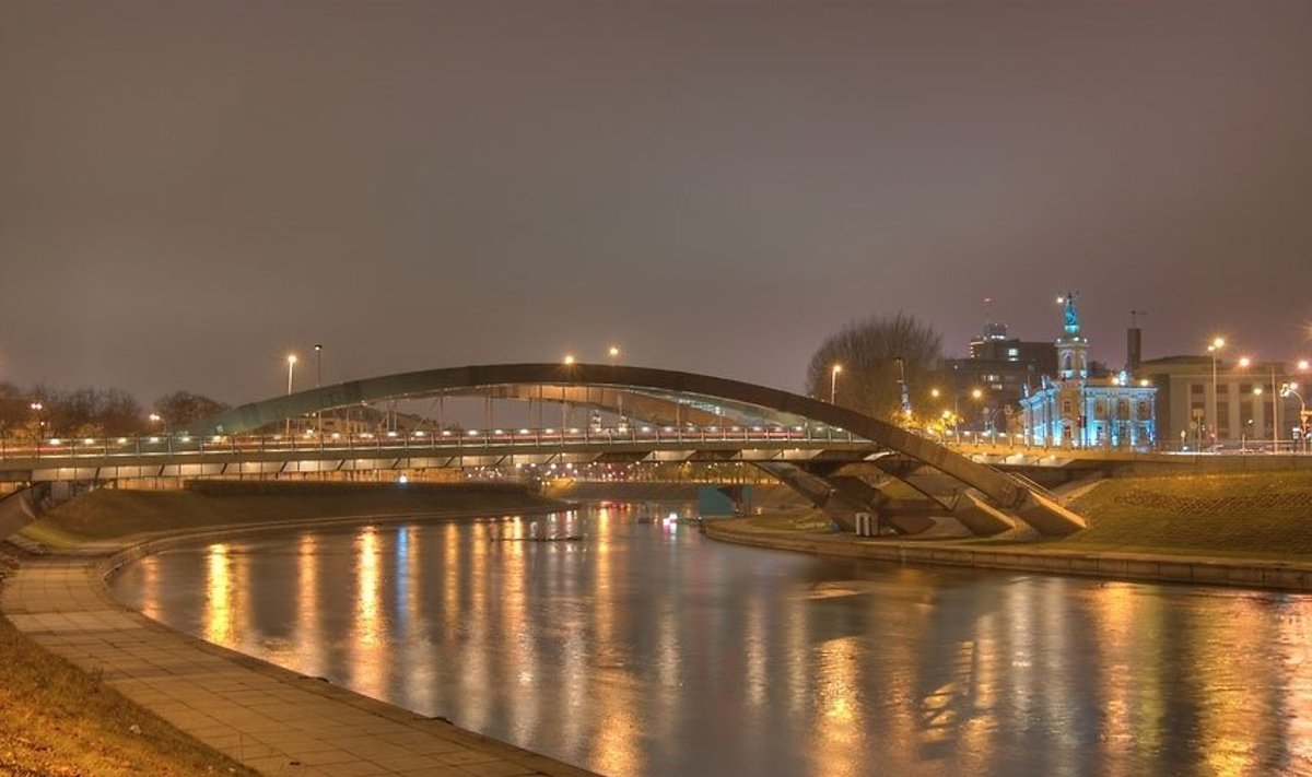 Mindaugo tiltas Vilniuje, Neris