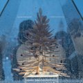 На Ратушной площади появилась самая маленькая в Литве рождественская елка