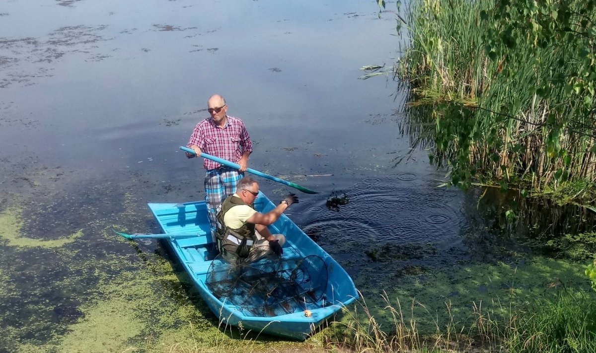 Aplinkos apsaugos inspektoriai su ežere rastais venteriais