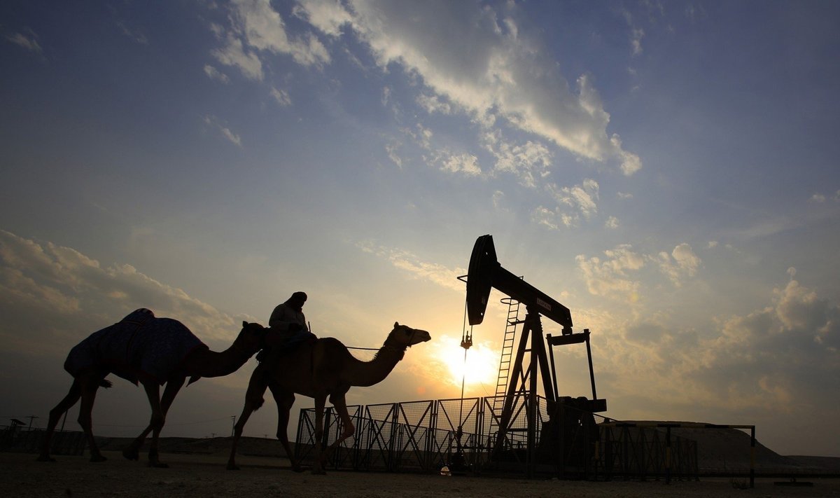 Saudo Arabijos valdžios planai benzino kainą šalyje gali pakelti 80 proc. -  Delfi verslas