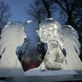 Fantastiškos pirmojo Lietuvoje ledo skulptūrų festivalio akimirkos