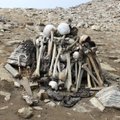 Praėjo beveik 100 metų nuo „Skeletų ežero“ atradimo: jis ir toliau glumina archeologus