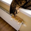 Būsto šildymo išlaidų kompensacijos: kokios ir kam jos priklauso