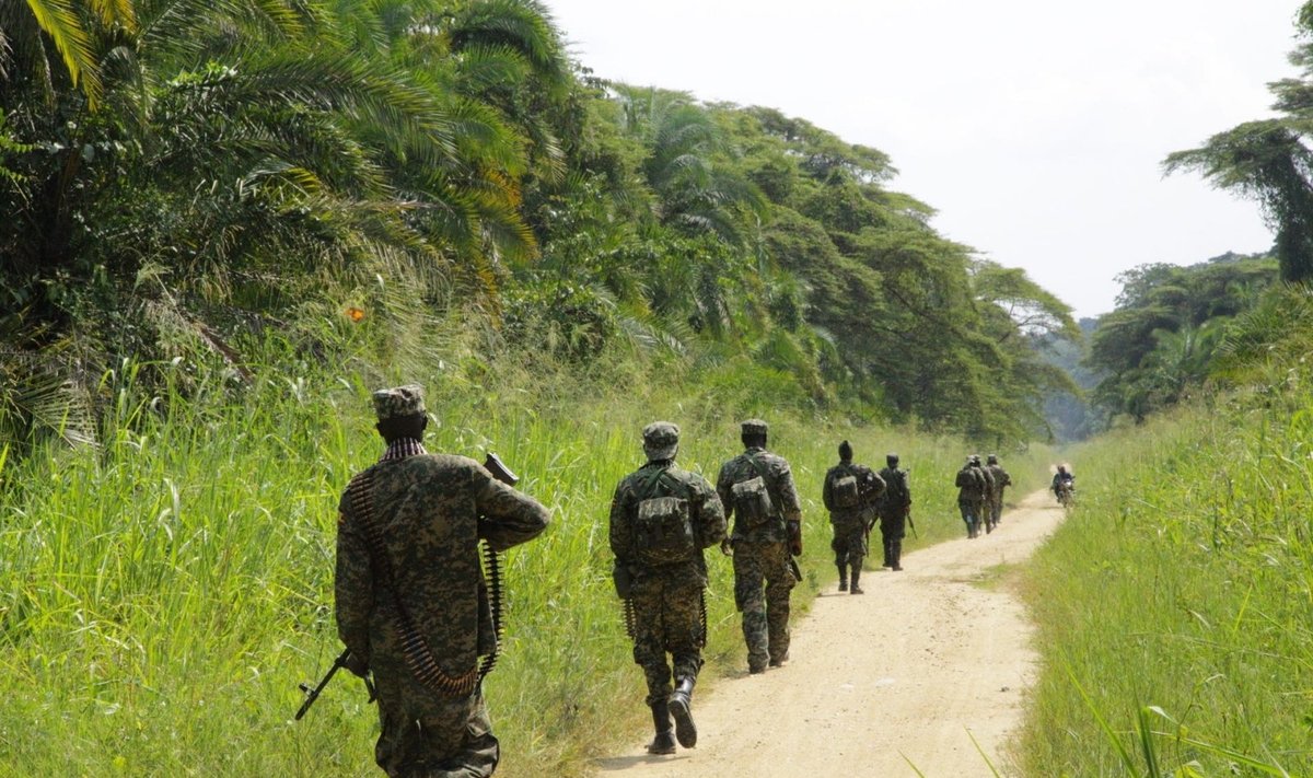 Centrinės Afrikos sukilėliai