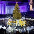 Зажглись праздничные огни на главной елке Литвы