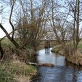 Lietuvos upės kenčia nuo hidroelektrinių: mokslininkai pasiūlė, kaip čia padidinti žuvų populiaciją
