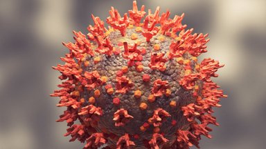 Didelės apimties tyrimas parodė: net lengvai persirgus COVID-19 liga iškyla gyvybei grėsmingos ligos rizika
