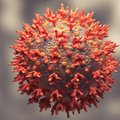 Didelės apimties tyrimas parodė: net lengvai persirgus COVID-19 liga iškyla gyvybei grėsmingos ligos rizika