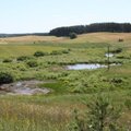 Pietų Lietuvoje – bandomasis ekologinis tinklas