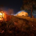 Per miško gaisrą Kalifornijoje žuvusių žmonių skaičius padidėjo iki 77