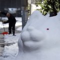 Japonijoje sniegas atnešė chaosą ir žmonių žūtis