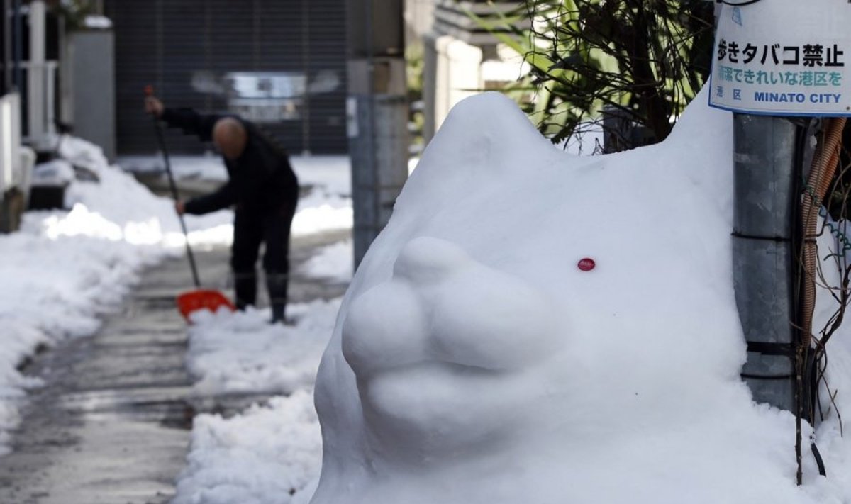 Japonijoje sniegas atnešė chaosą ir žmonių žūtis